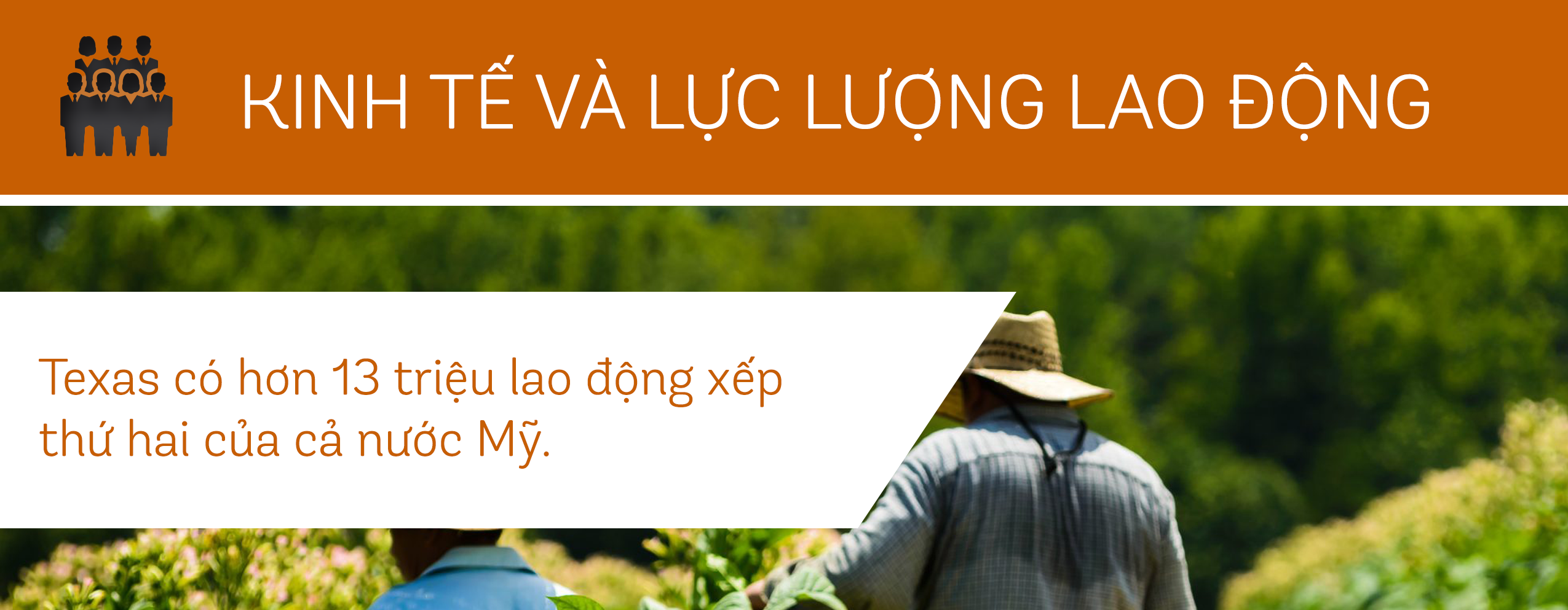 Luc Luong Lao Dong