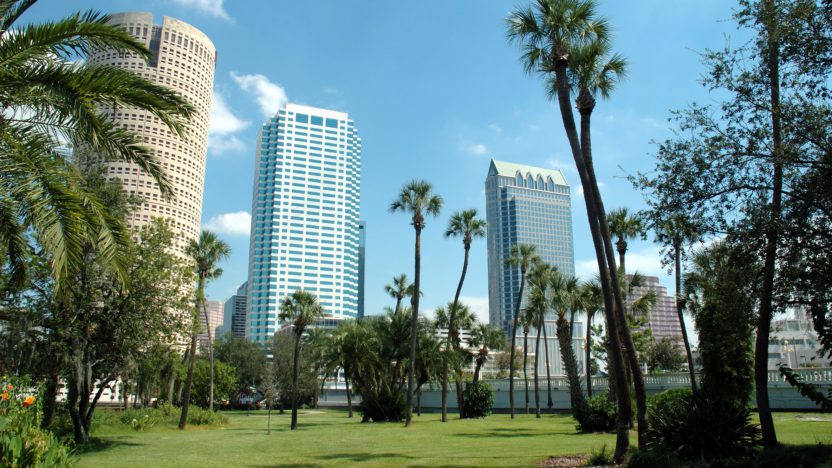 Downtown Tampa From Plant Park