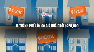 Nhung Ngoi Nha Duoi 250000 Co The Duoc Tim Thay O 10 Thanh Pho Lon Nay